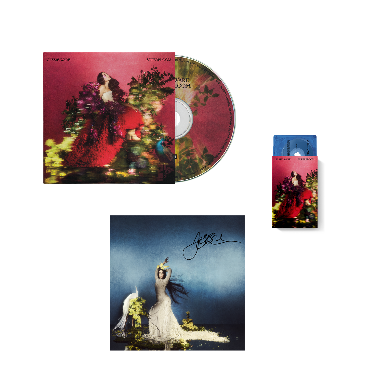 SIGNED CD BUNDLE