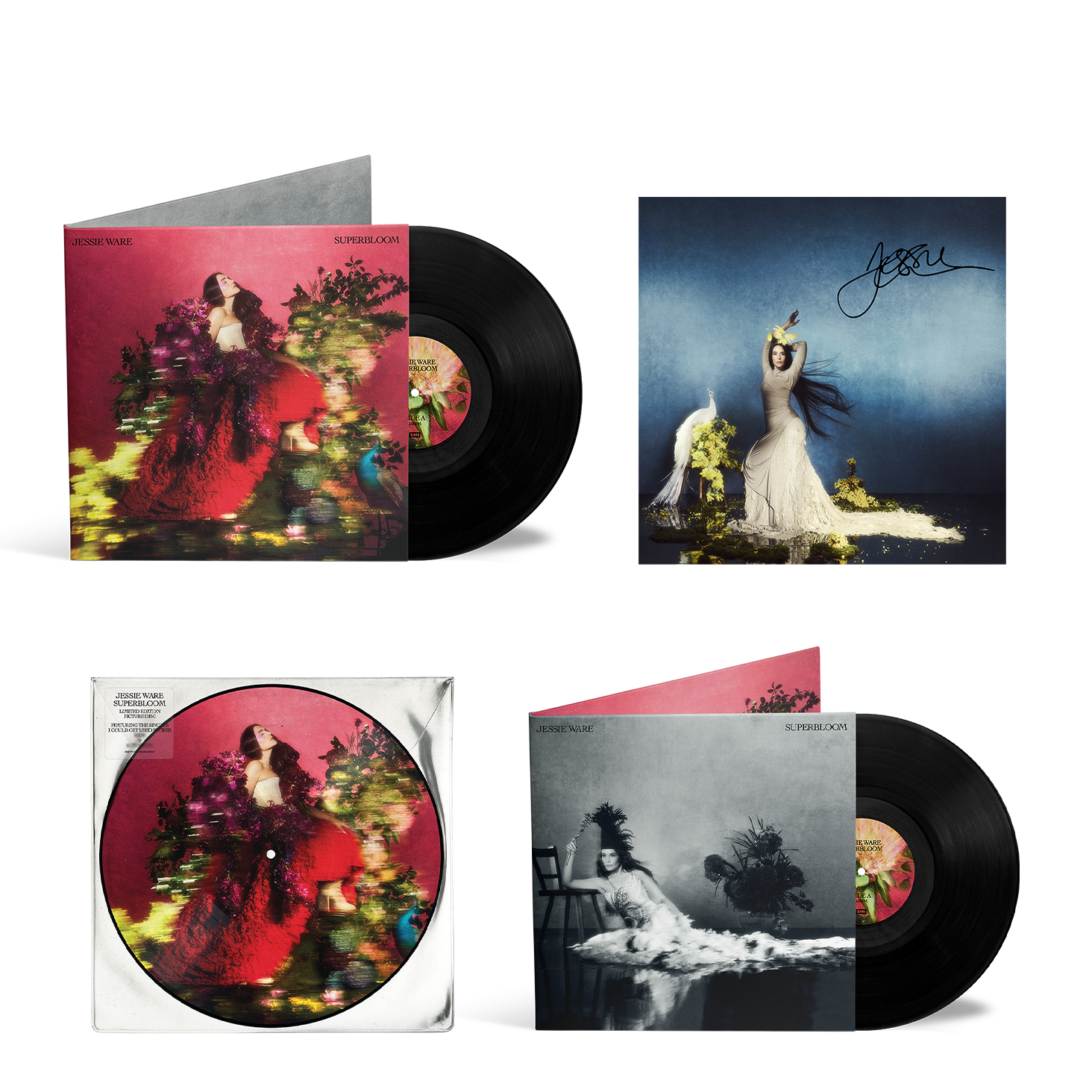 SIGNED VINYL COLLECTOR'S BUNDLE