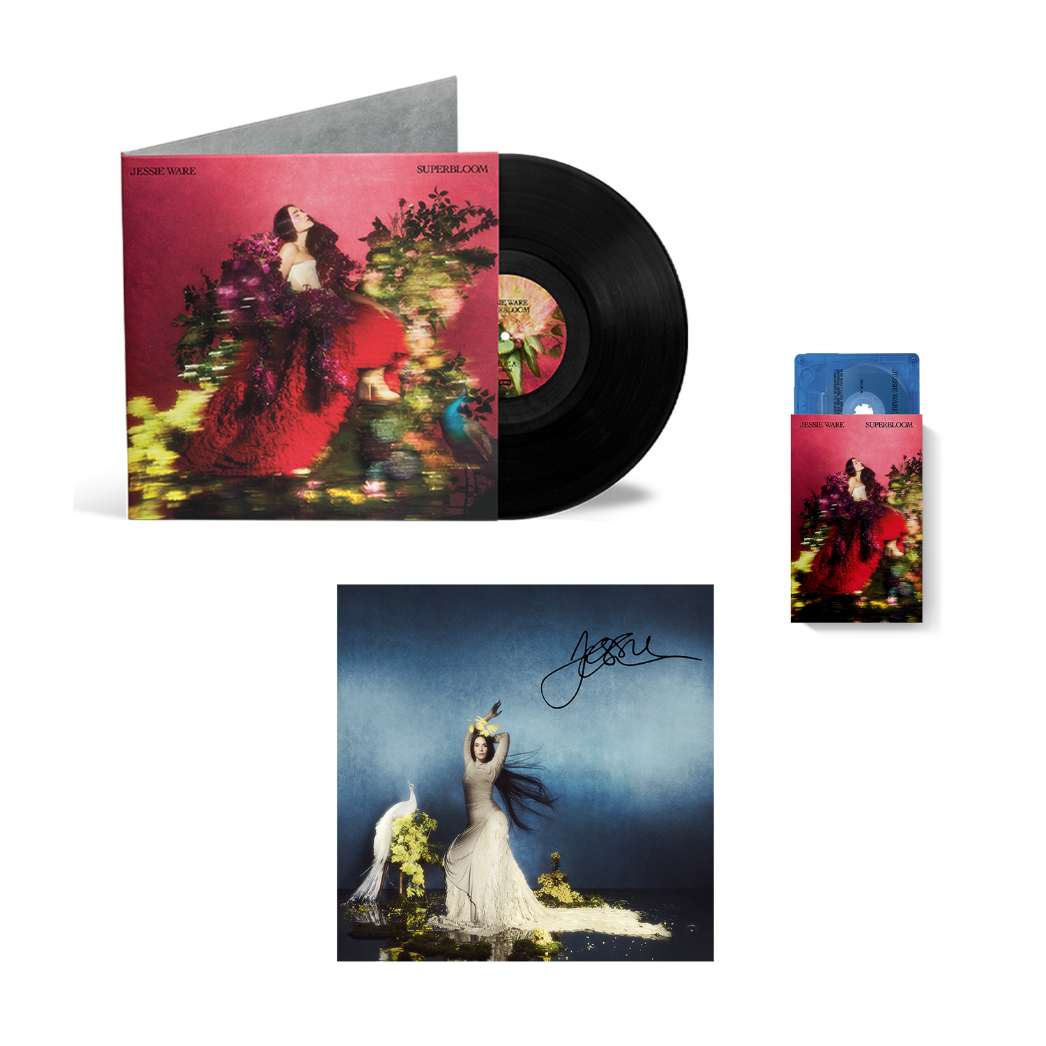 SIGNED VINYL BUNDLE