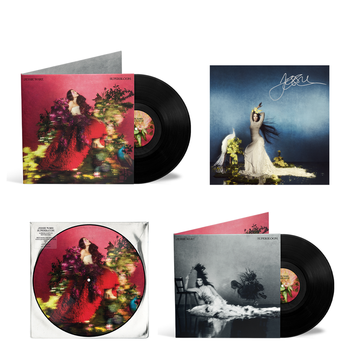 VinylCollectorsBundleV2.png?v=1769616642&width=1200