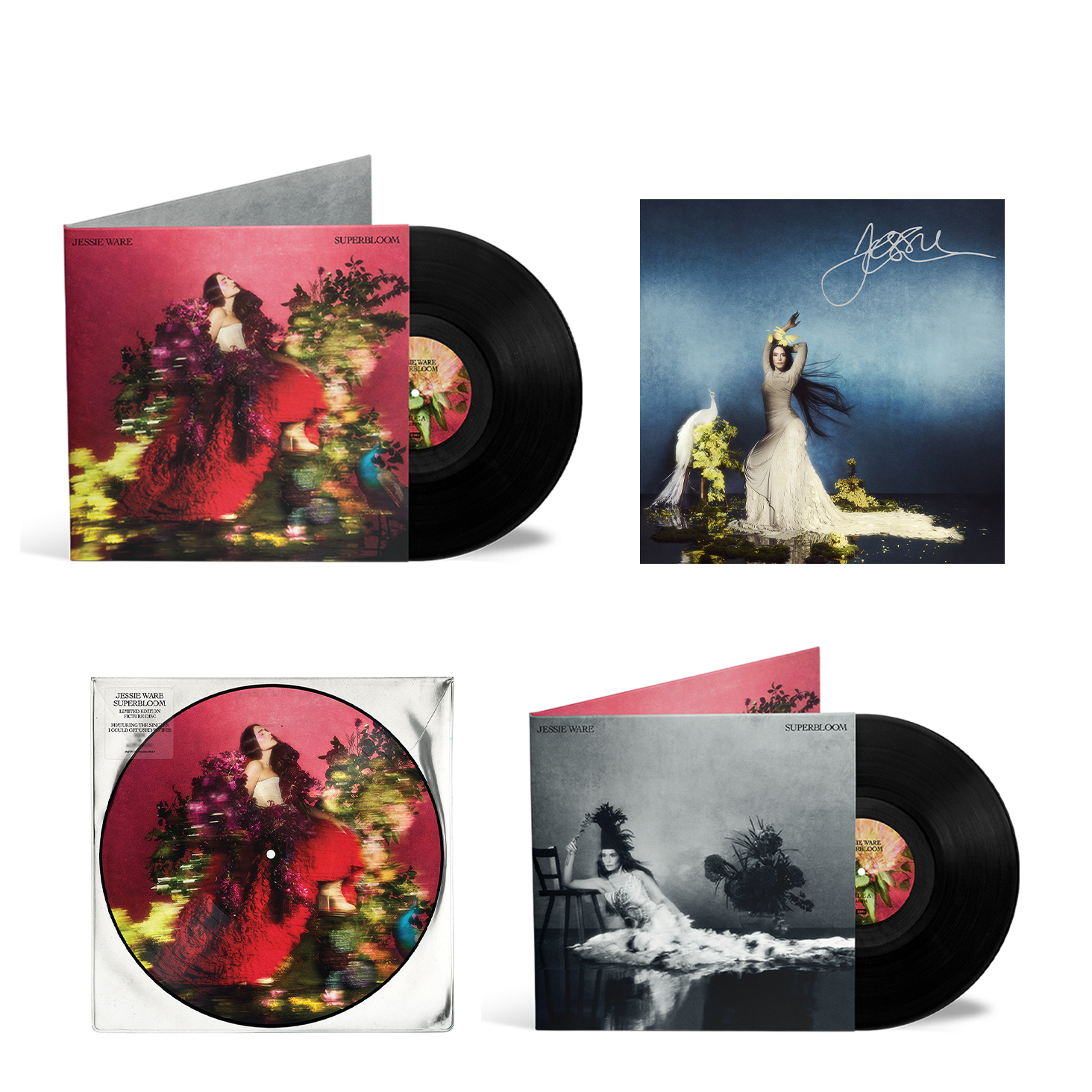SIGNED VINYL COLLECTOR'S BUNDLE